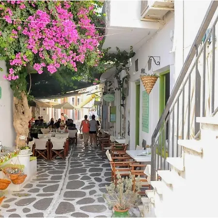 Livadia Seaside 7 * パロス島